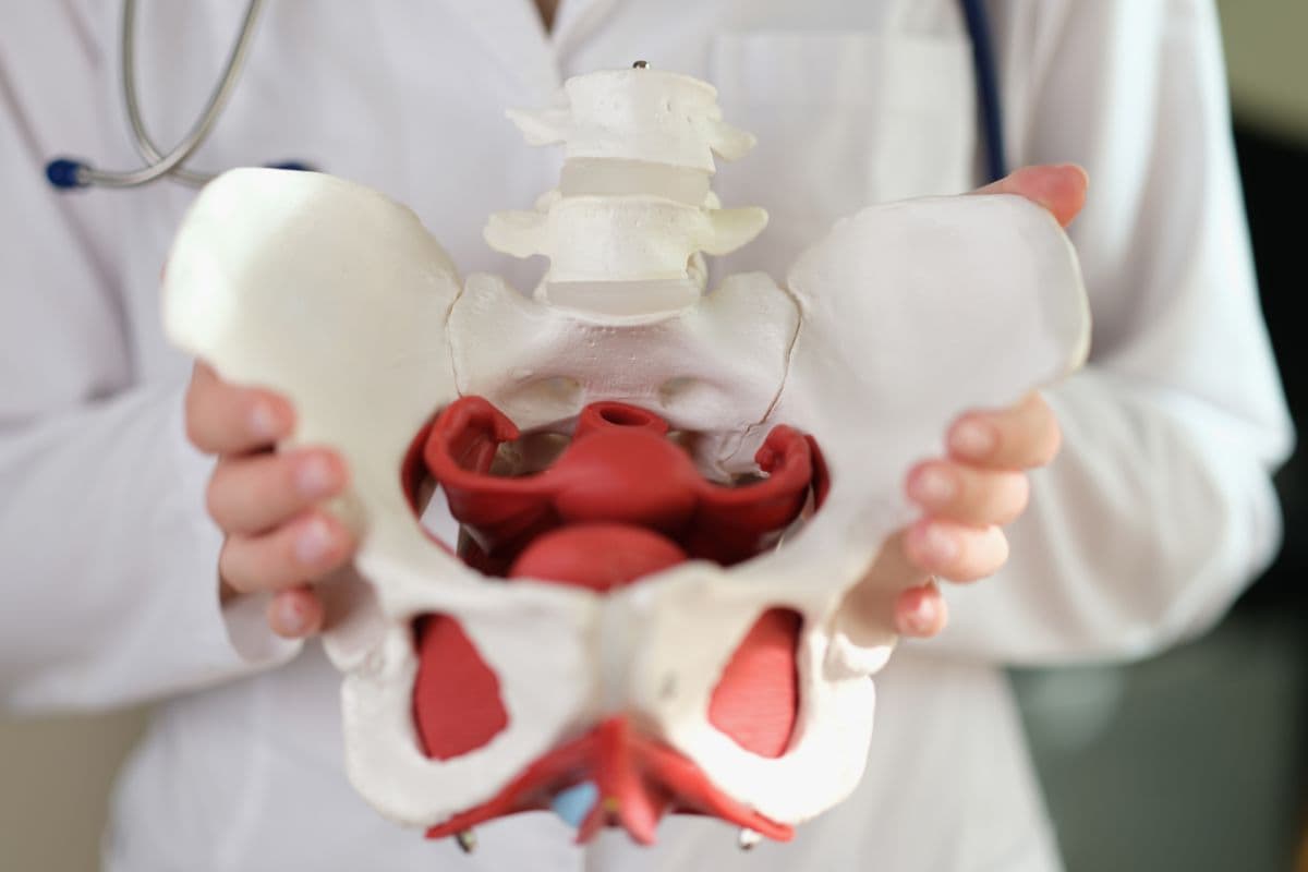 suelo pélvico en hombres y mujeres